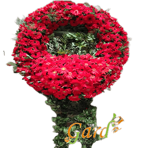 Kırmızı Gerbera Cenaze Çelenk