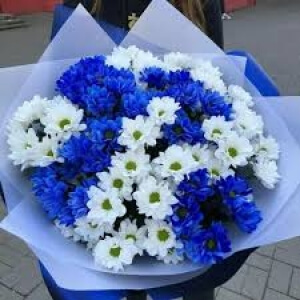 Kucak Dolusu Mavi ve Beyaz Papatya Buketi